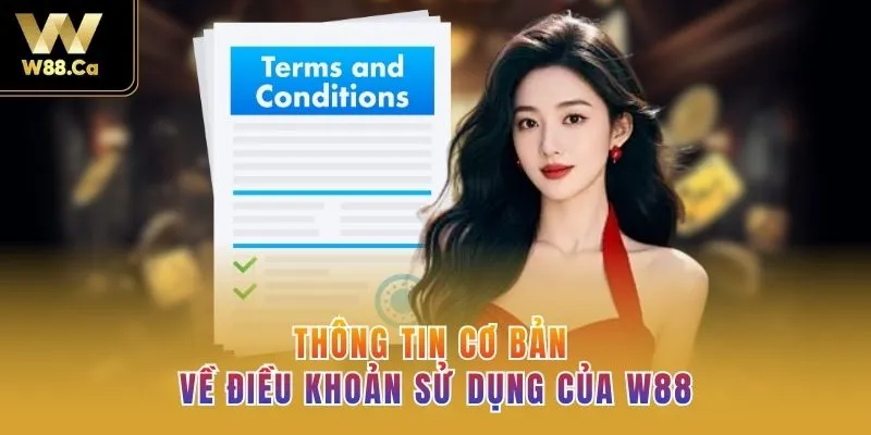 Thông tin cơ bản về điều khoản sử dụng của W88